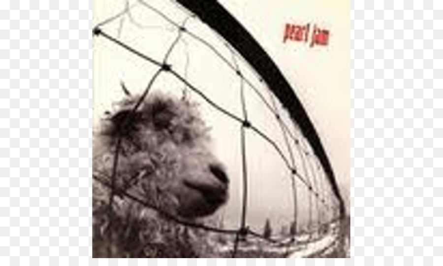 Pearl Jam，Disco Fonográfico PNG