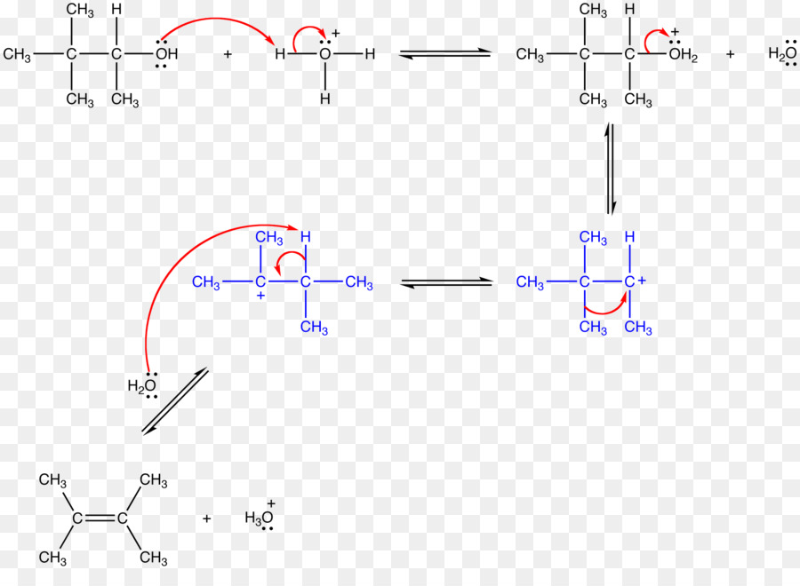 Wagnermeerwein Reordenamiento，Reordenamiento De La Reacción PNG