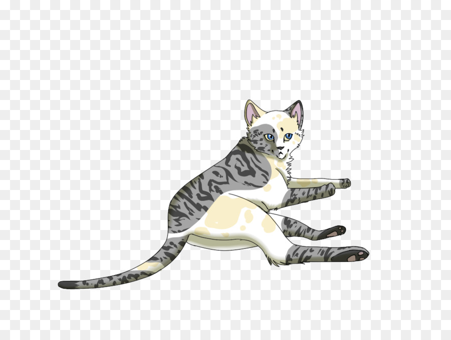 Gato Atigrado，Dibujo PNG