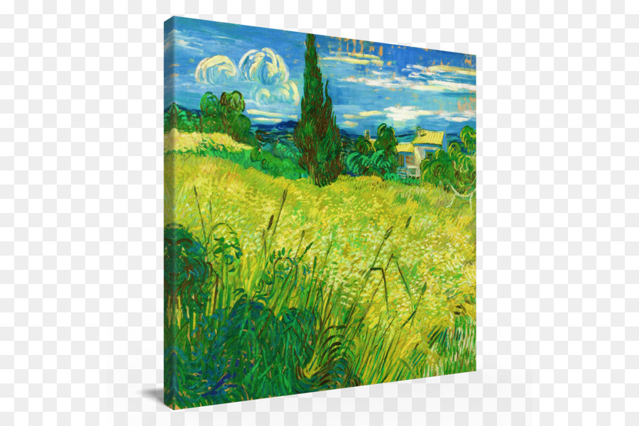 Pintura，Verde Campo De Trigo Con Cipreses PNG