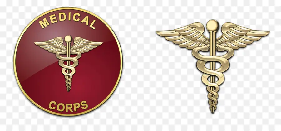 Ejército De Los Estados Unidos Cuerpo De Enfermería，Cuerpo Veterinario PNG
