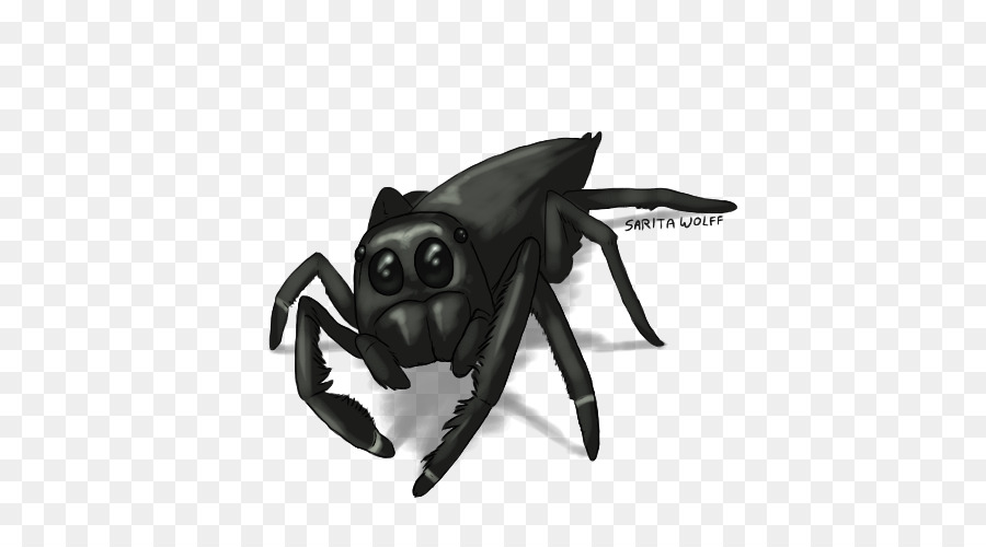 Los Insectos，Invertebrados PNG