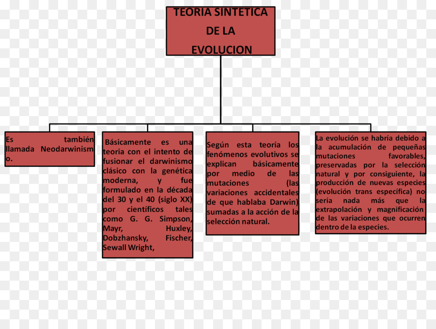 Teoría De La Evolución，Sintético PNG