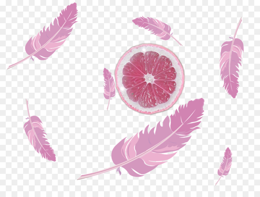 Papel，Pluma PNG