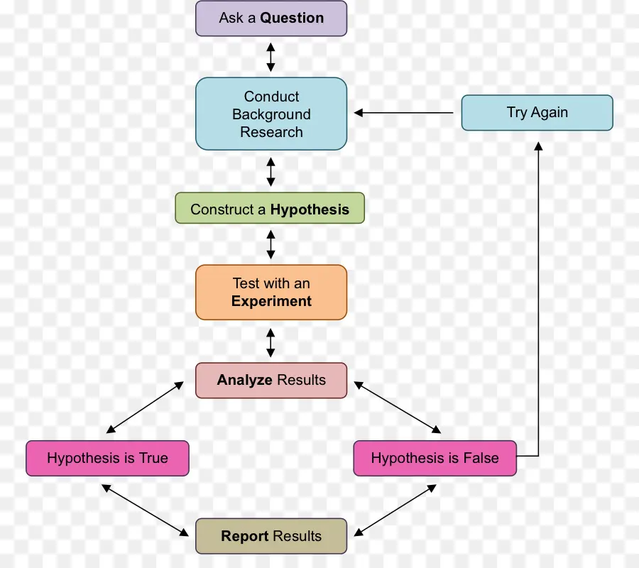 Metodo Cientifico，Diagrama De Flujo PNG