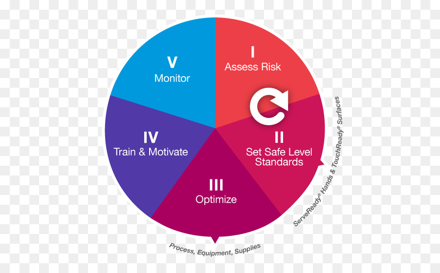 El Lavado De Manos，Gráfico Circular PNG