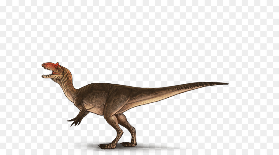 Tyrannosaurus，Velociraptor PNG