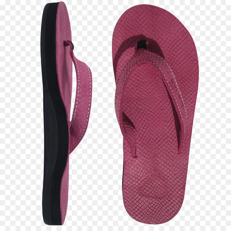 Chancletas，Zapato PNG