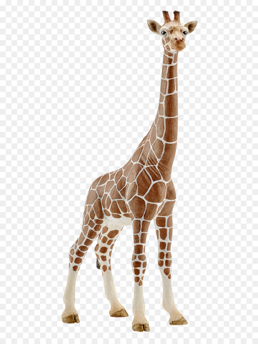 Jirafa，Schleich PNG