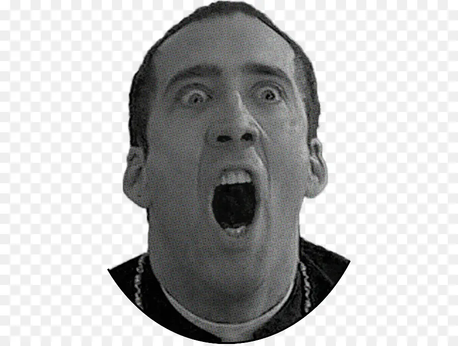 Nicolas Cage，Salir De Las Vegas PNG