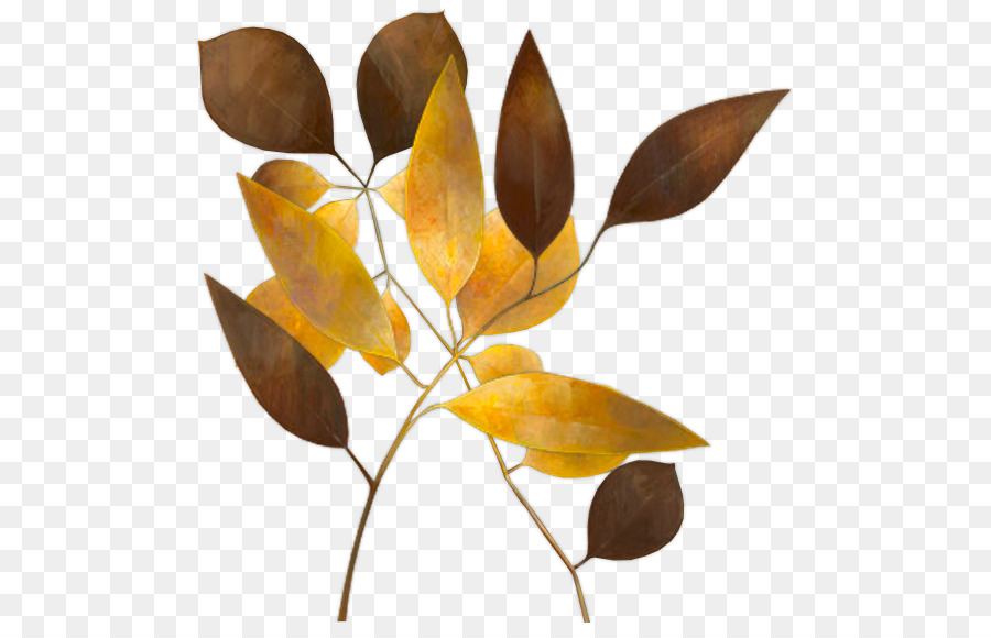 Hojas De Otoño，Rama PNG