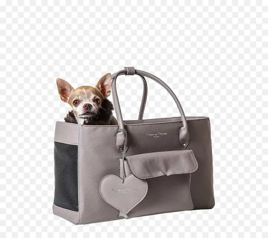 Perro En Bolsa，Chihuahua PNG