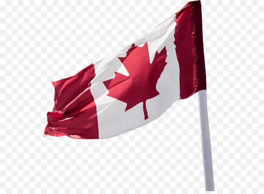 Bandera Canadiense，Hoja De Arce PNG