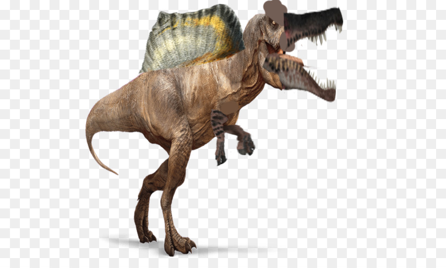 Tyrannosaurus，Spinosaurus PNG