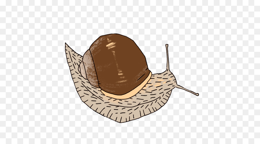 Sombrero，Caracol PNG