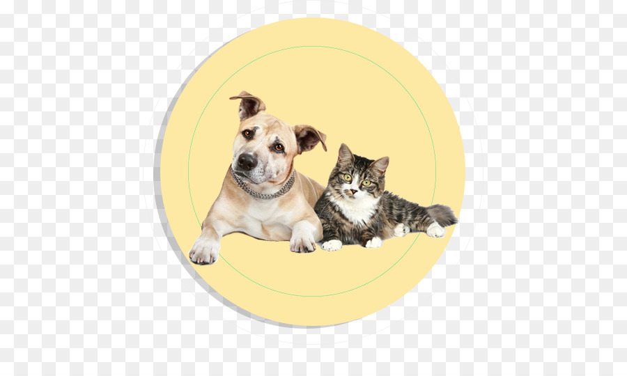 Perro，Gato PNG