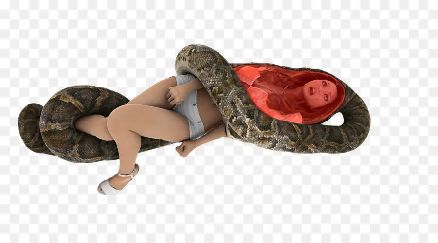 Boa Constrictor，Zapato PNG