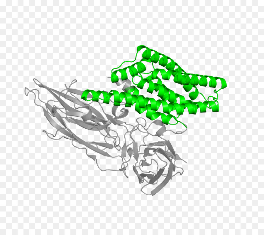 Delta Endotoxina，La Endotoxina PNG