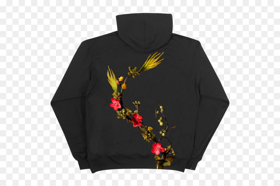 Sudadera Con Capucha，Camiseta PNG