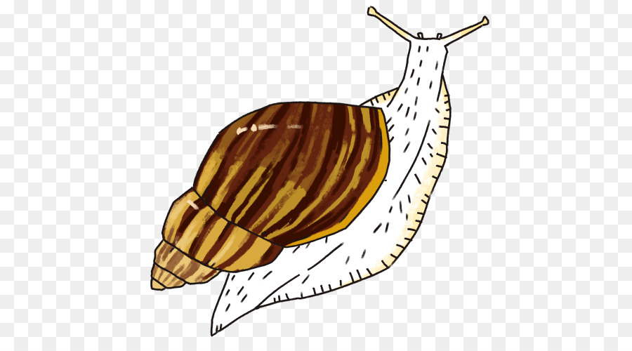 Caracol，Slug PNG