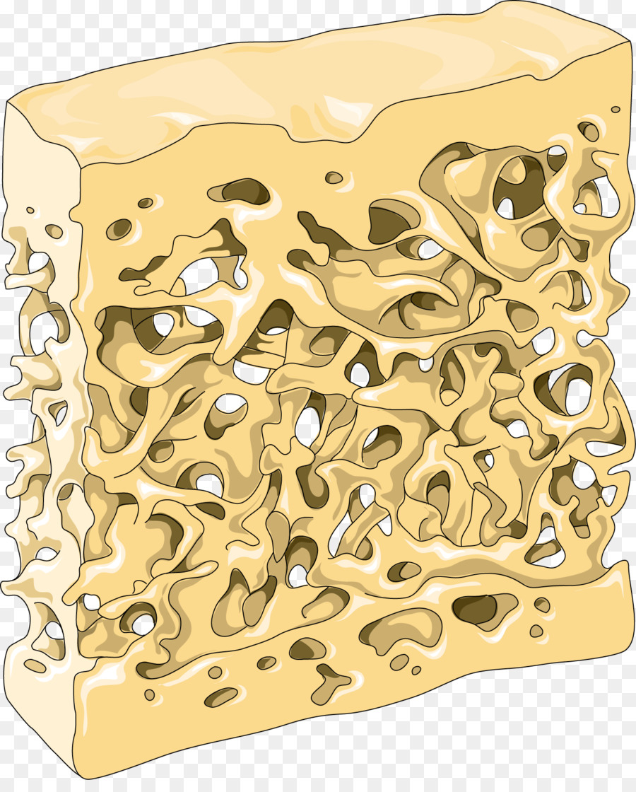 Oro，Material PNG