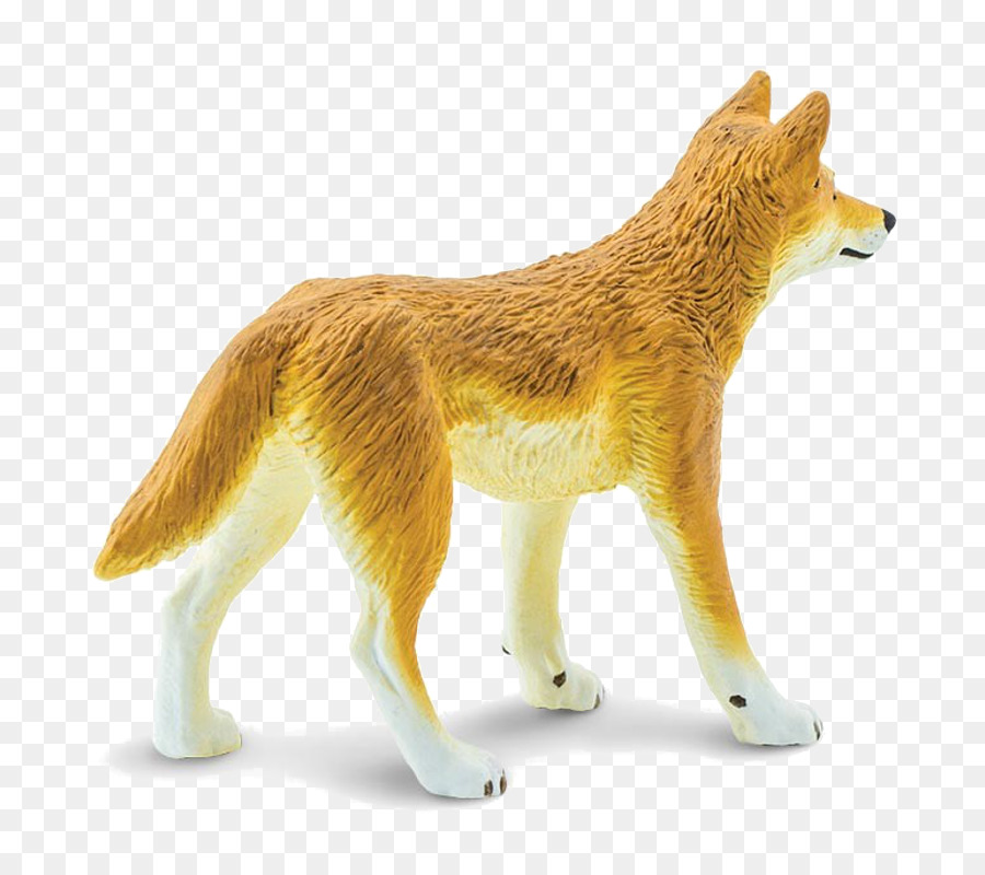 Dingo，Perro PNG