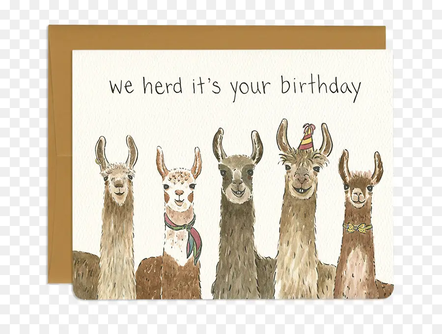 Llama，Tarjetas De Felicitación PNG