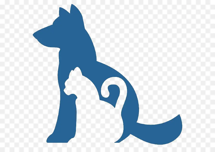 Perro，Veterinario PNG