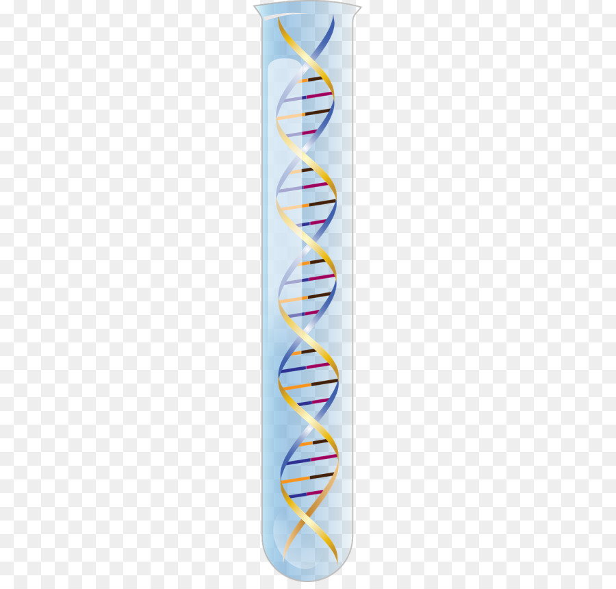 Arn，El ácido Nucleico De Doble Hélice PNG
