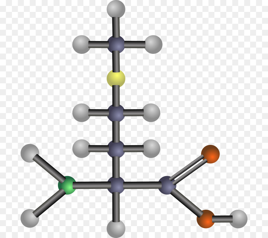 Aminoácidos，ácido PNG