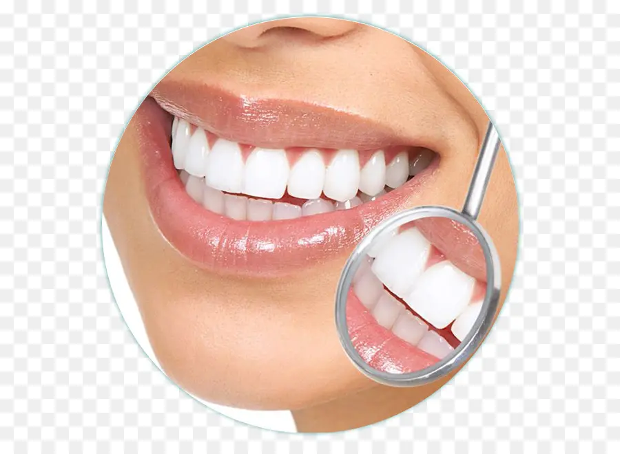 Dientes，Boca PNG