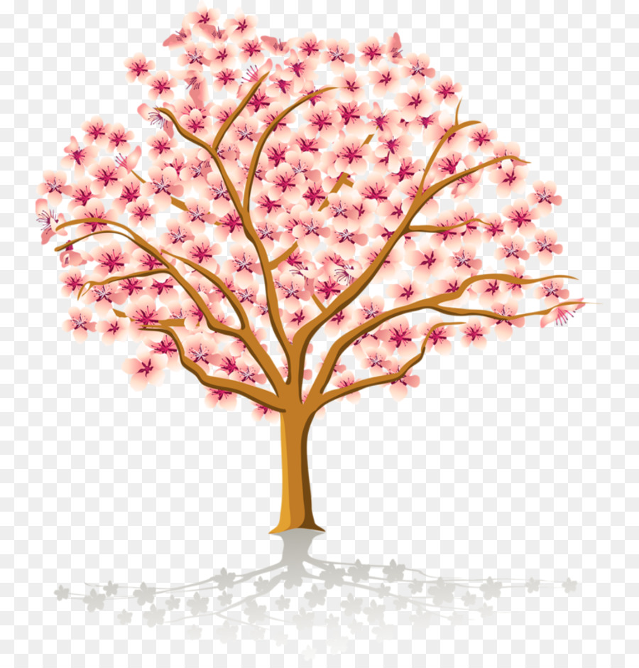 Árbol De Cerezo En Flor，Flores PNG