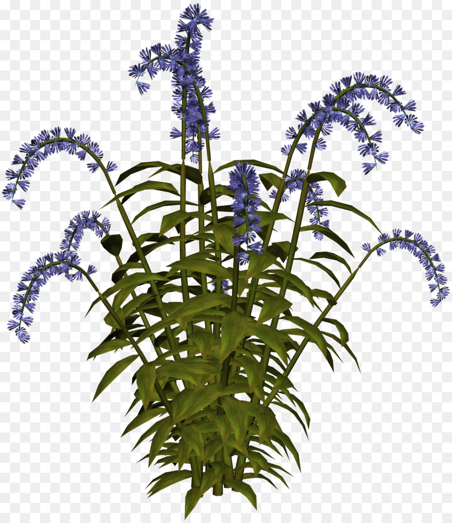 Flor，Púrpura PNG