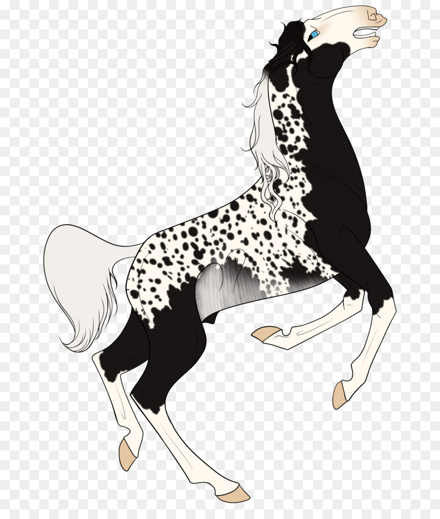 Perro，Caballo PNG