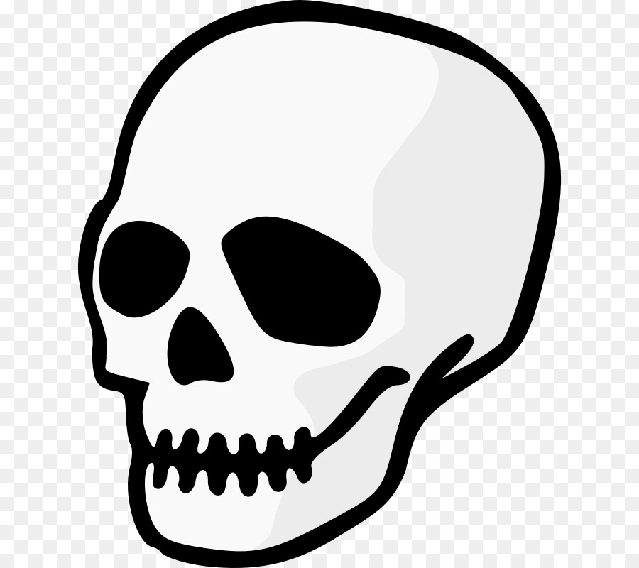 Cráneo，Iconos De Equipo PNG