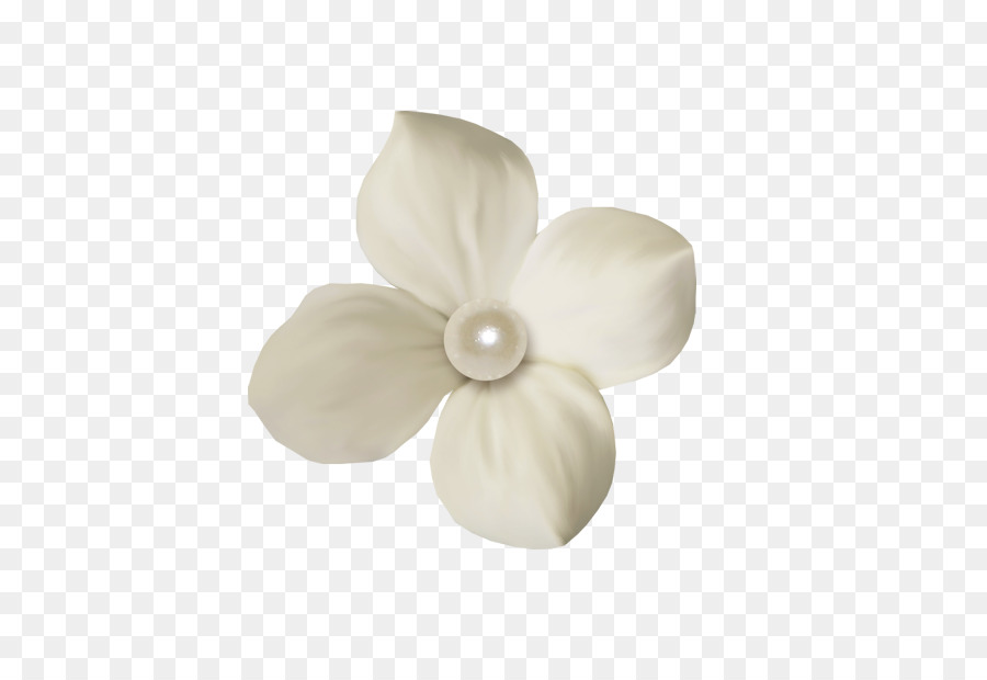 Blanco，Flor PNG