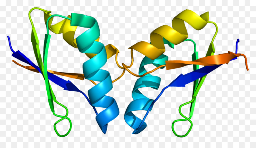Atox1，Protein PNG