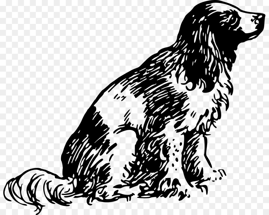 Raza De Perro，Spaniel PNG