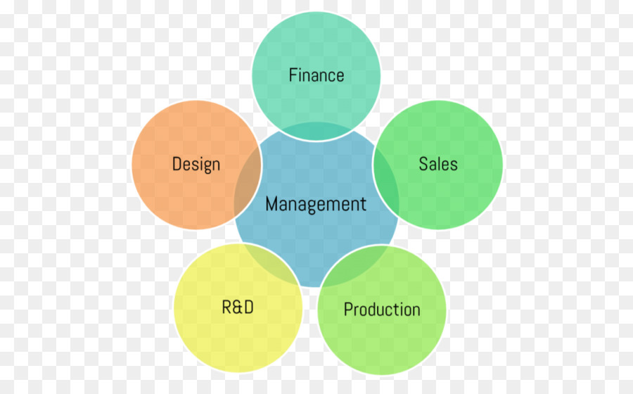 Diagrama De Negocios，Gestión PNG