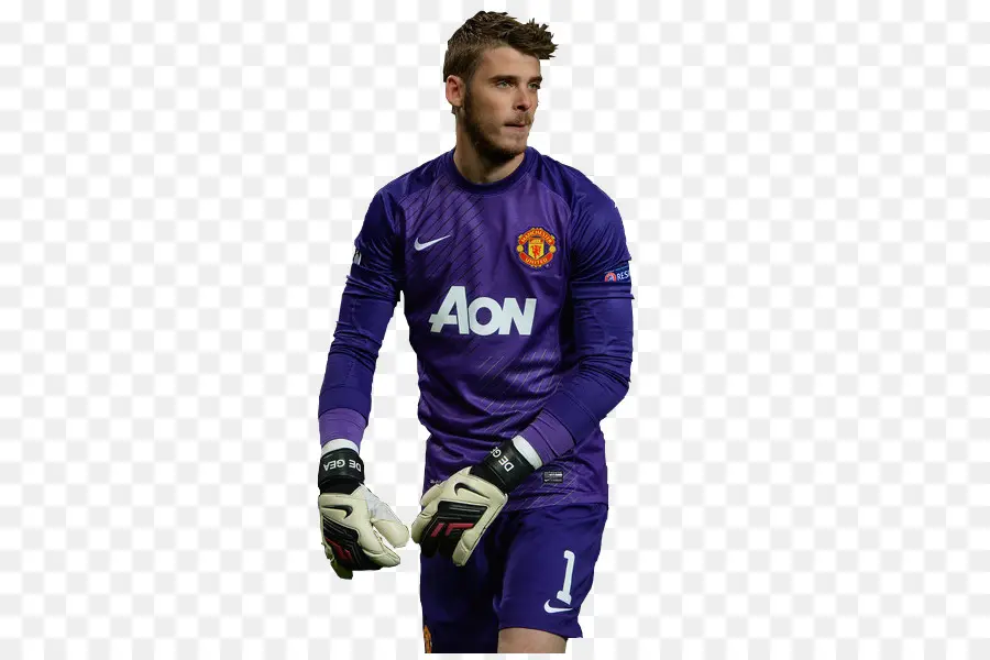 David De Gea，El Manchester United Fc PNG