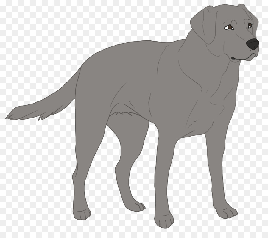 Perro，Mascota PNG