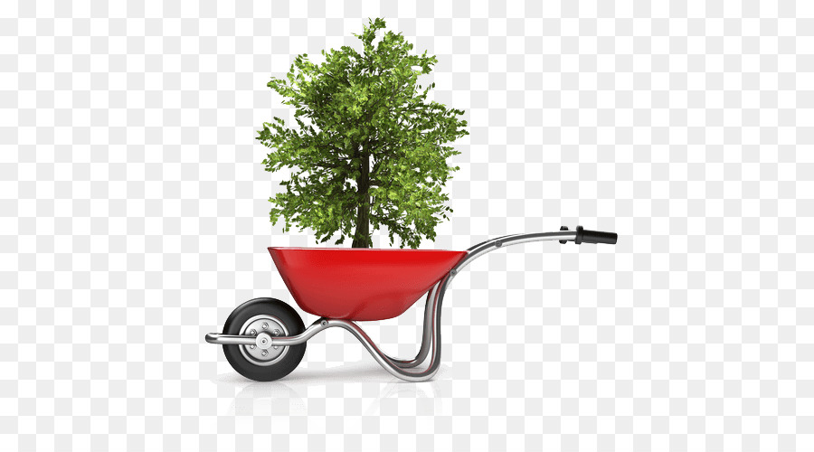 Árbol En Carretilla，Planta PNG