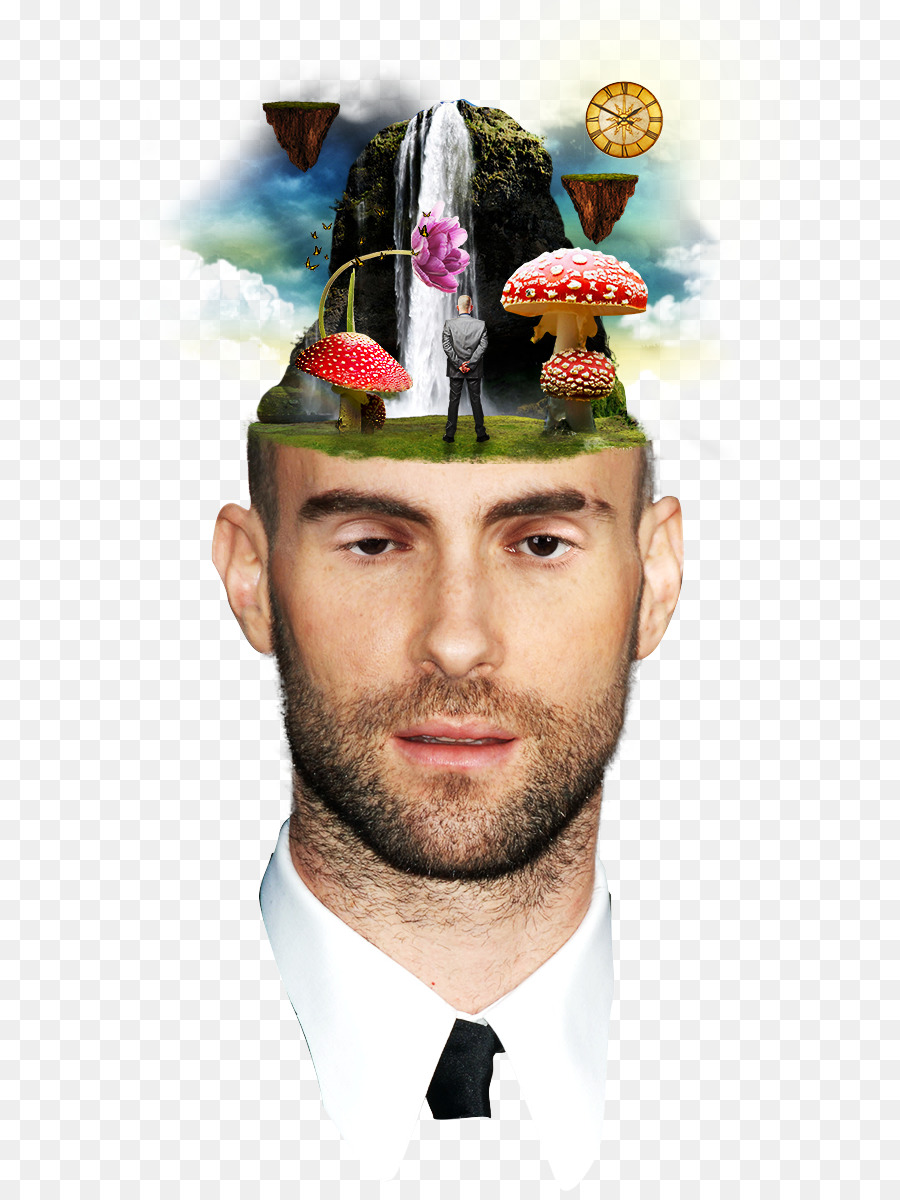 Adam Levine，Barba PNG