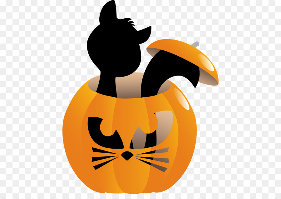 Gato，Jacko Lantern PNG