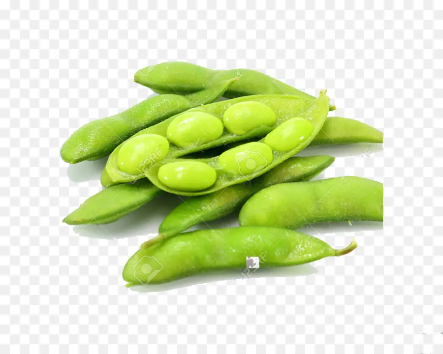 Edamame，La Cocina India PNG