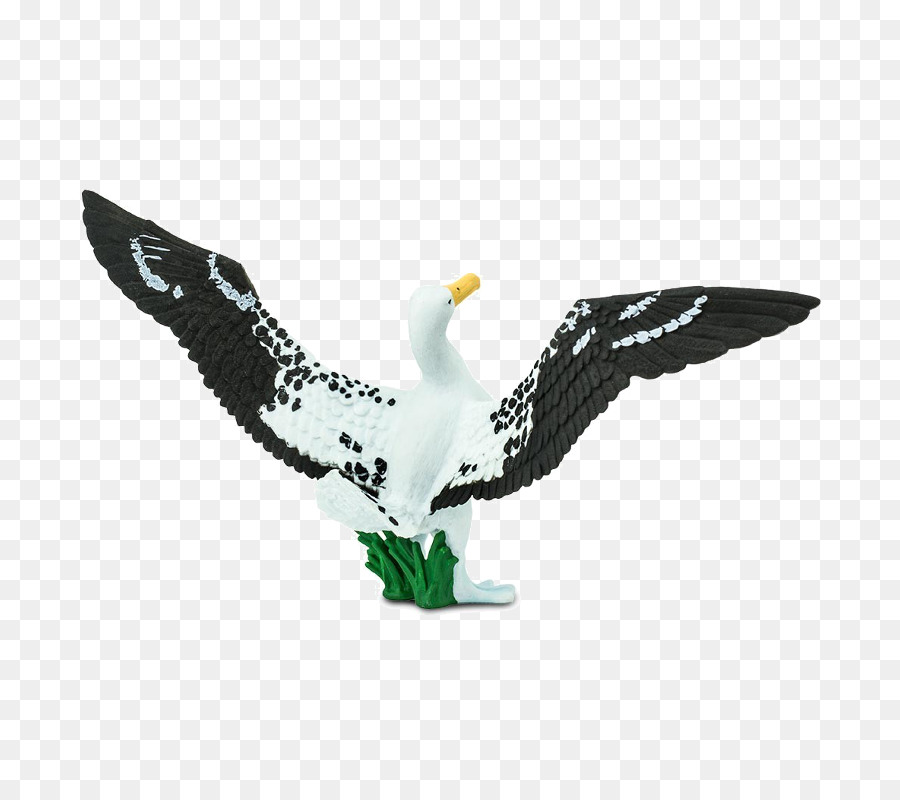 Pájaro，águila Calva PNG