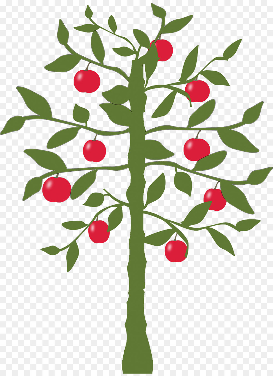 Limón，árbol De La Fruta PNG