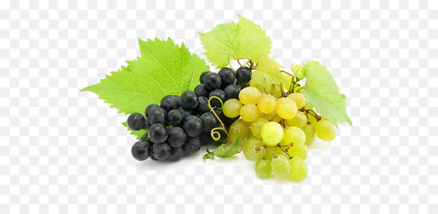 Uvas，Enredadera PNG