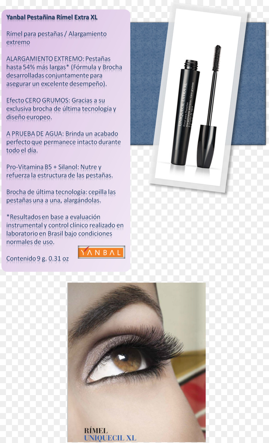 Extensiones De Pestañas，Sombra PNG