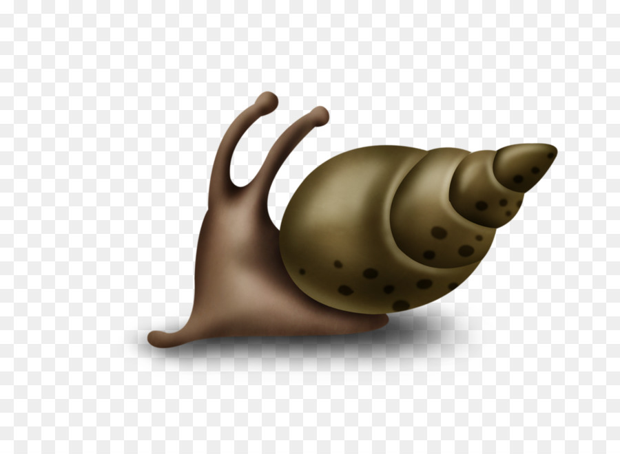 Caracol，Tetera PNG